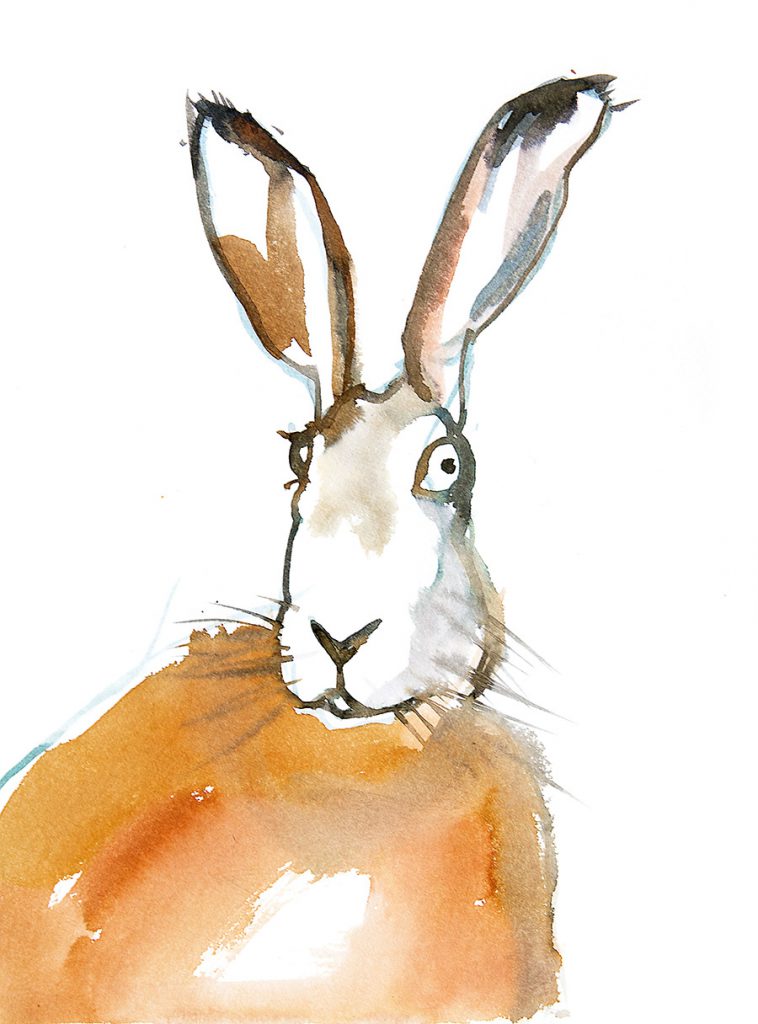Mein Name ist Hase